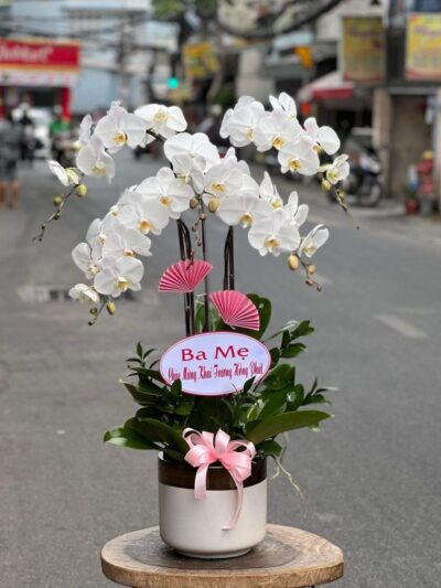Bó hoa chúc mừng Gia chủ phát tài với hoa lan trắng thanh khiết, tinh tế và đầy ý nghĩa.