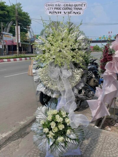 hoa-chia-buon-cbvt44