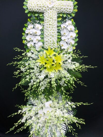 hoa-chia-buon-cbvt63