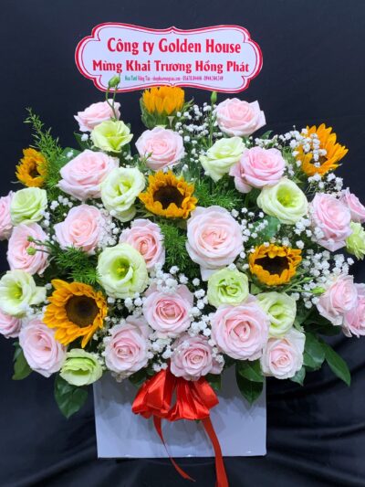 hoa-mung-khai-truong-vung-tau