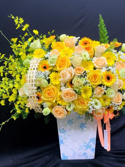 dat-hoa-ba-ria-vung-tau