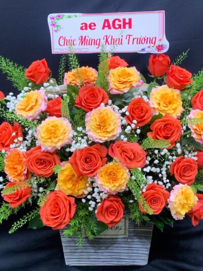 hoa-khai-truong-dep-ba-ria