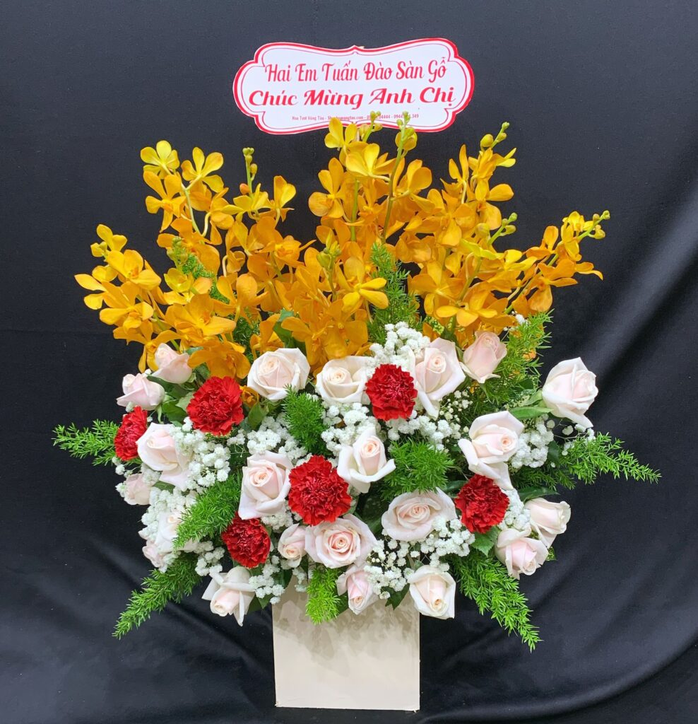 hoa lan tặng khai trương