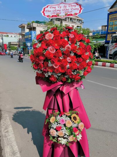hoa-khai-truong-vung-tau