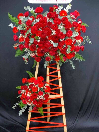 ke hoa khai truong 60