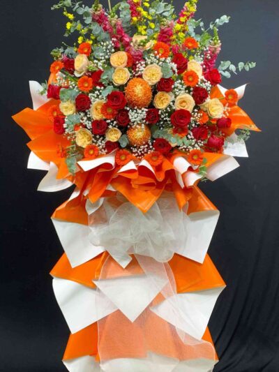 ke hoa khai truong 66