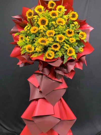 ke hoa khai truong 70