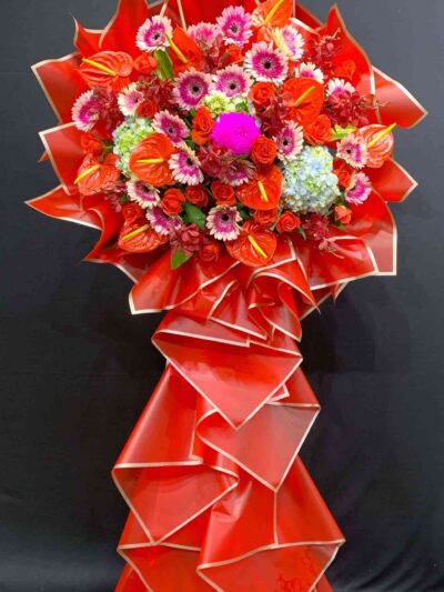 ke hoa khai trương 86