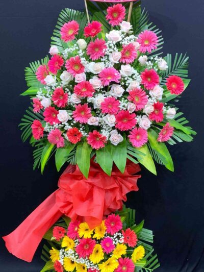 ke hoa khai truong 87