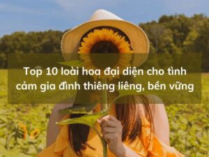 hoa dai dien cho tinh cam gia dinh