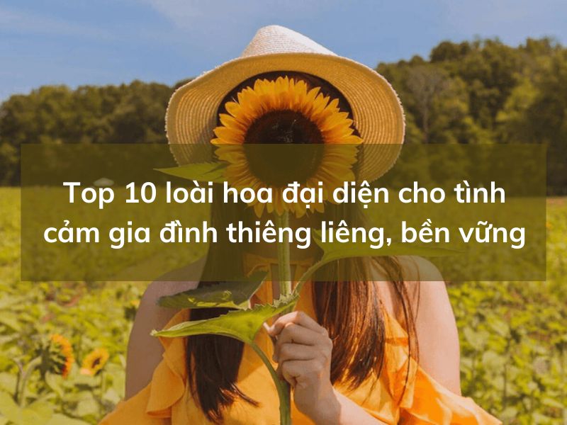 hoa dai dien cho tinh cam gia dinh