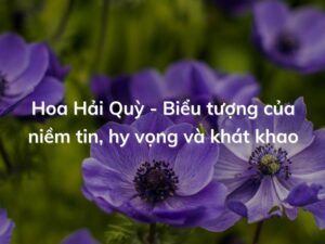 hoa hai quy