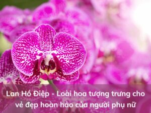 lan ho diep
