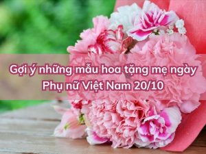 hoa tang me 20 10