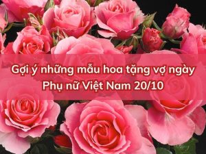 hoa tang vo 20 10