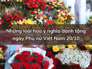 y nghia cac loai hoa 20 10