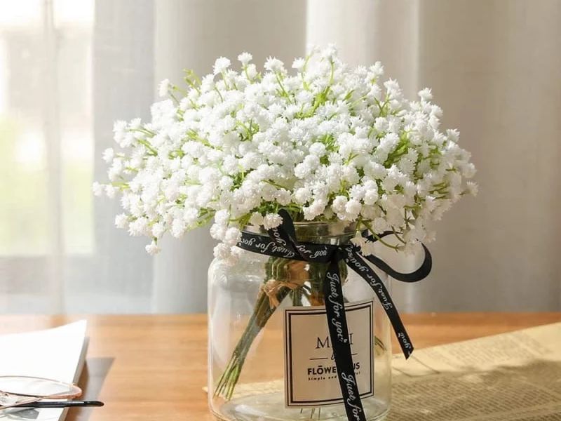 Hoa baby - Món quà thể hiện tình cảm chân thành ý nghĩa hoa baby