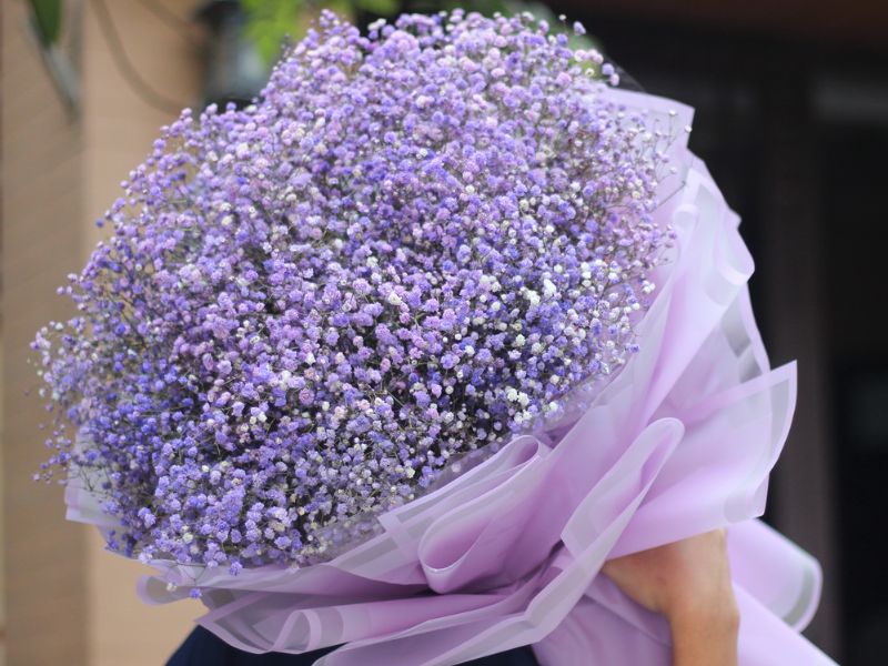 Hoa baby - Món quà thể hiện tình cảm chân thành ý nghĩa hoa baby