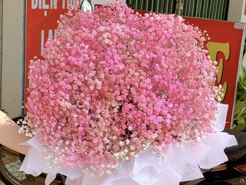 Hoa baby - Món quà thể hiện tình cảm chân thành ý nghĩa hoa baby