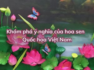 y-nghia-hoa-sen