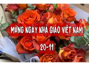 y-nghia-20-11