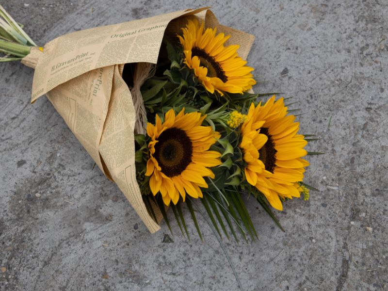 Những loài hoa ý nghĩa tặng mẹ trong dịp Quốc tế Phụ nữ 8/3 hoa-tang-me-8-3-3