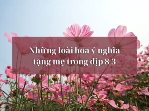 hoa-tang-me-8-3