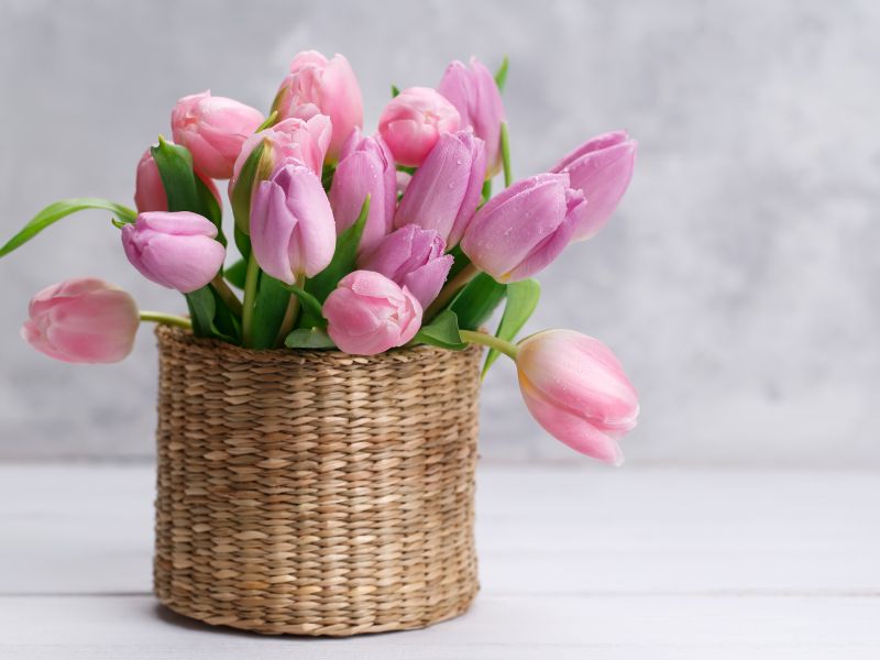 Những loài hoa ý nghĩa tặng mẹ trong dịp Quốc tế Phụ nữ 8/3 hoa-tang-me-8-3-4