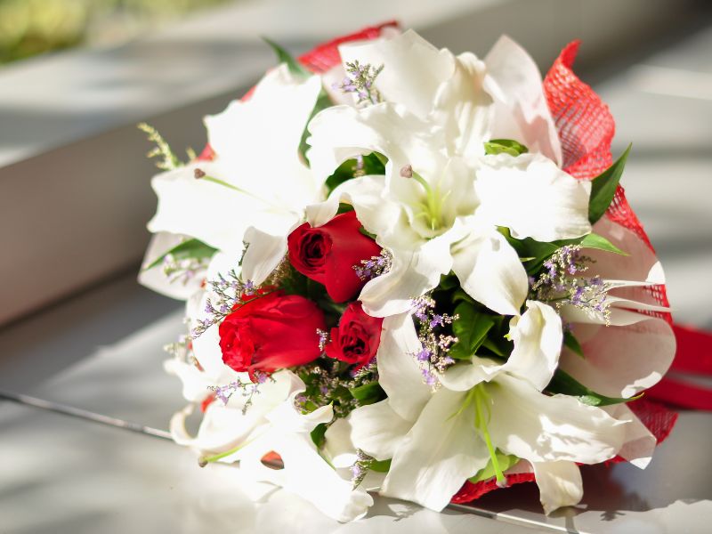 Những loài hoa ý nghĩa tặng mẹ trong dịp Quốc tế Phụ nữ 8/3 hoa-tang-me-8-3-6