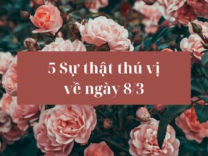 su-that-ve-ngay-8-3-1