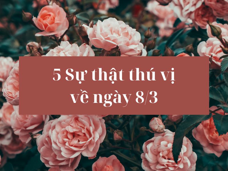 5 sự thật thú vị về ngày Quốc tế Phụ nữ 8/3 su-that-ve-ngay-8-3-1