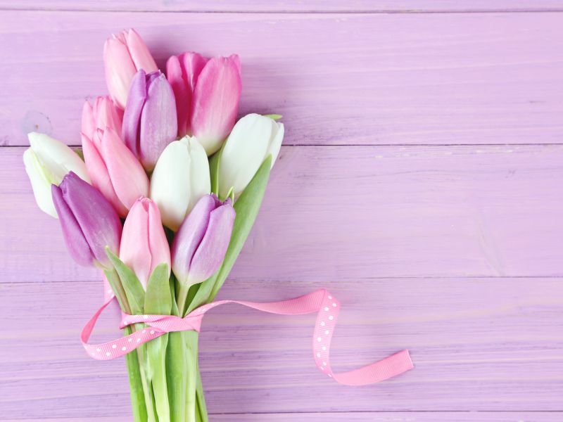 8/3 nên tặng hoa gì? Những loài hoa ý nghĩa trong ngày 8/3 hoa-tang-8-3-3-1