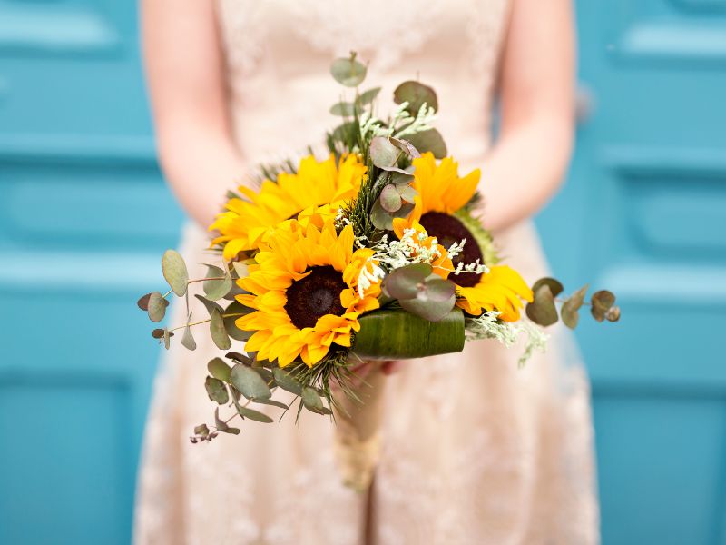 8/3 nên tặng hoa gì? Những loài hoa ý nghĩa trong ngày 8/3 hoa-tang-8-3-4