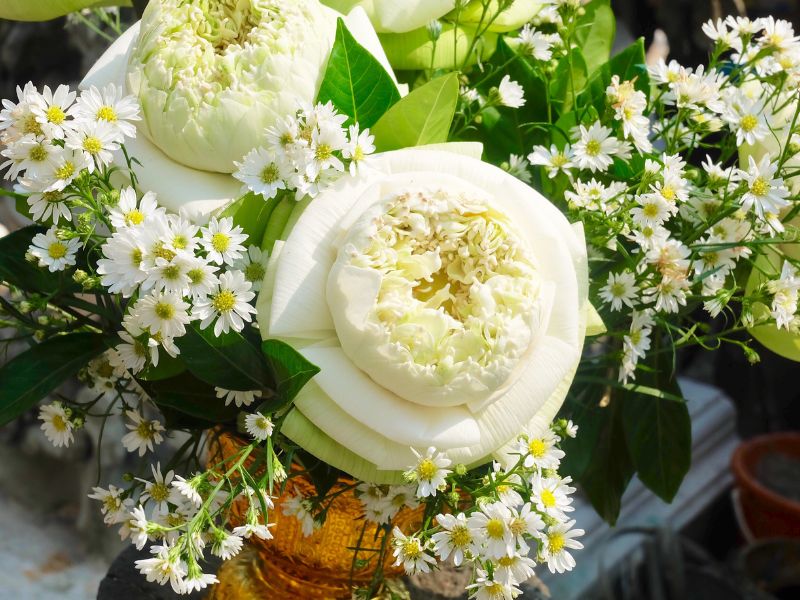 8/3 nên tặng hoa gì? Những loài hoa ý nghĩa trong ngày 8/3 hoa-tang-8-3-7