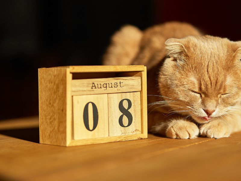 Tổng hợp những lời chúc ý nghĩa trong ngày 8/3 loi-chuc-8-3-3