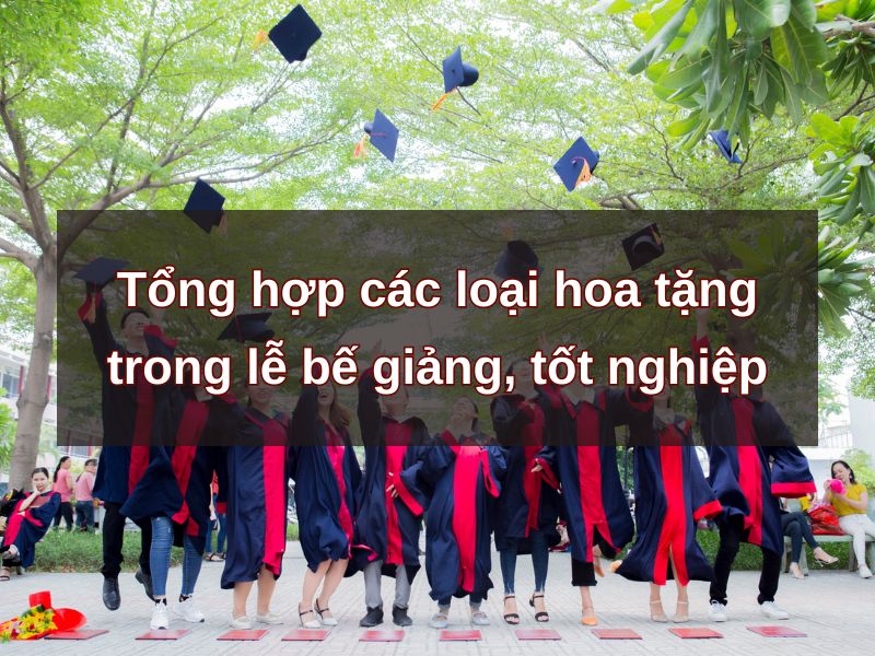 hoa-be-giang