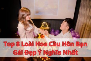 Top 8 Loài Hoa Cầu Hôn Bạn Gái Đẹp Ý Nghĩa Nhất
