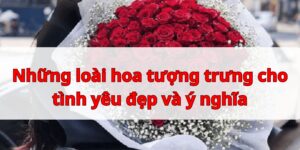 Những loài hoa tượng trưng cho tình yêu đẹp và ý nghĩa
