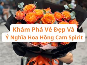 Khám Phá Vẻ Đẹp Và Ý Nghĩa Hoa Hồng Cam Spirit